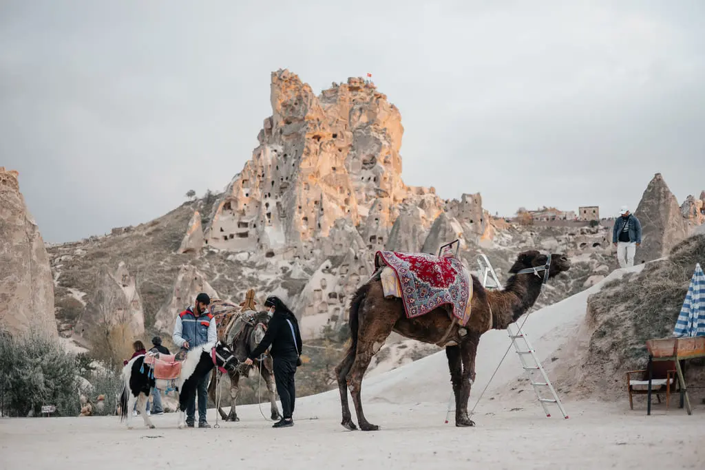 Верблюд в Love Valley на фоне скальной крепости Учхисар в Каппадокии
